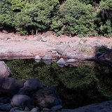 Previous image